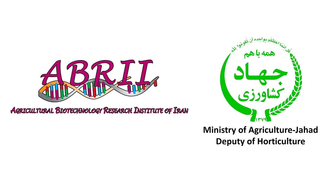ABRII Takes Lead in Production of Healthy Primary Nuclei of Horticultural Plant-img