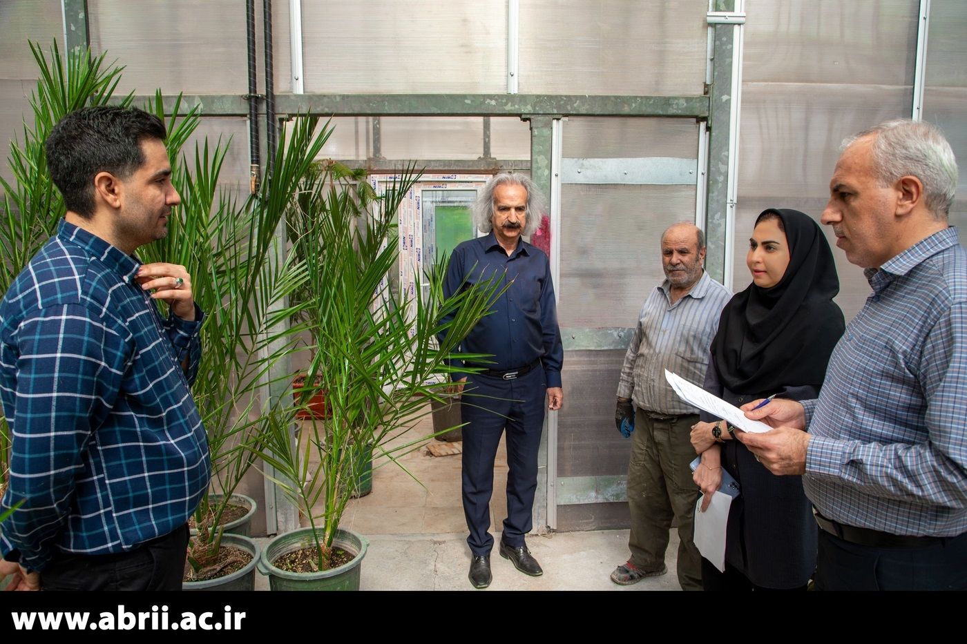 ABRII Launches National Project to Promote Tissue Culture of Medjool Date Palms-img
