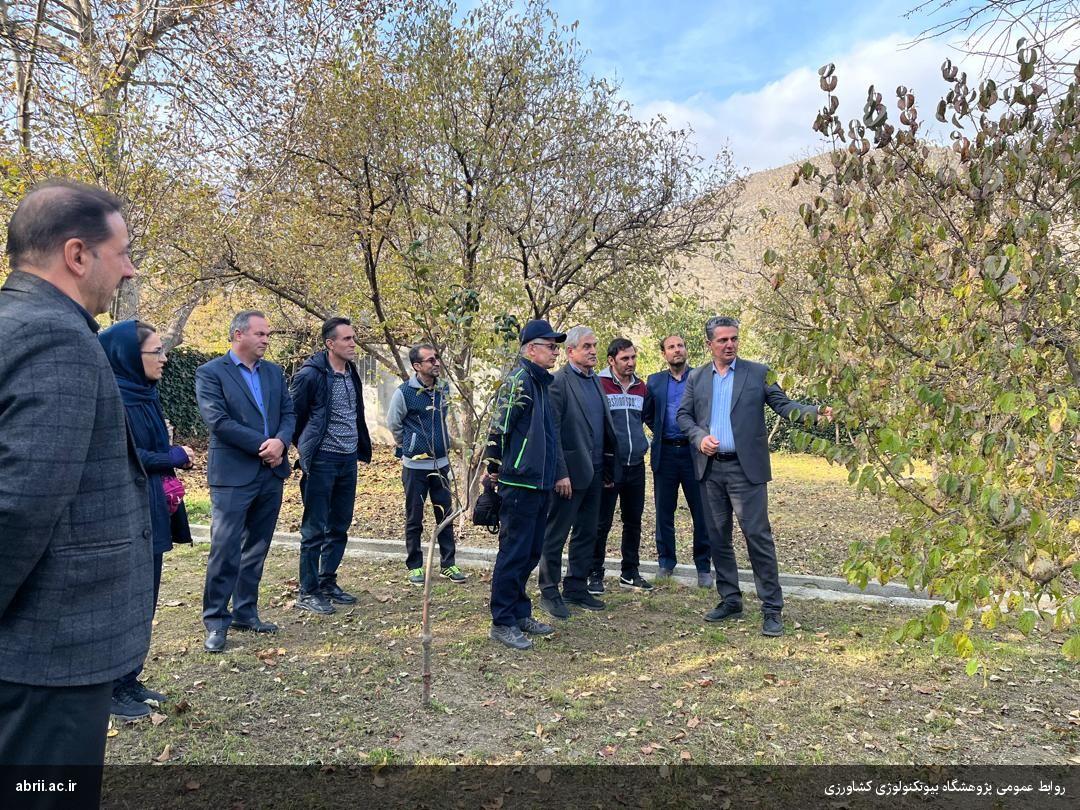 بازدید از مزارع نهال‌های کشت بافتی گیاه زغال‌اخته به مناسبت روز مزرعه-img