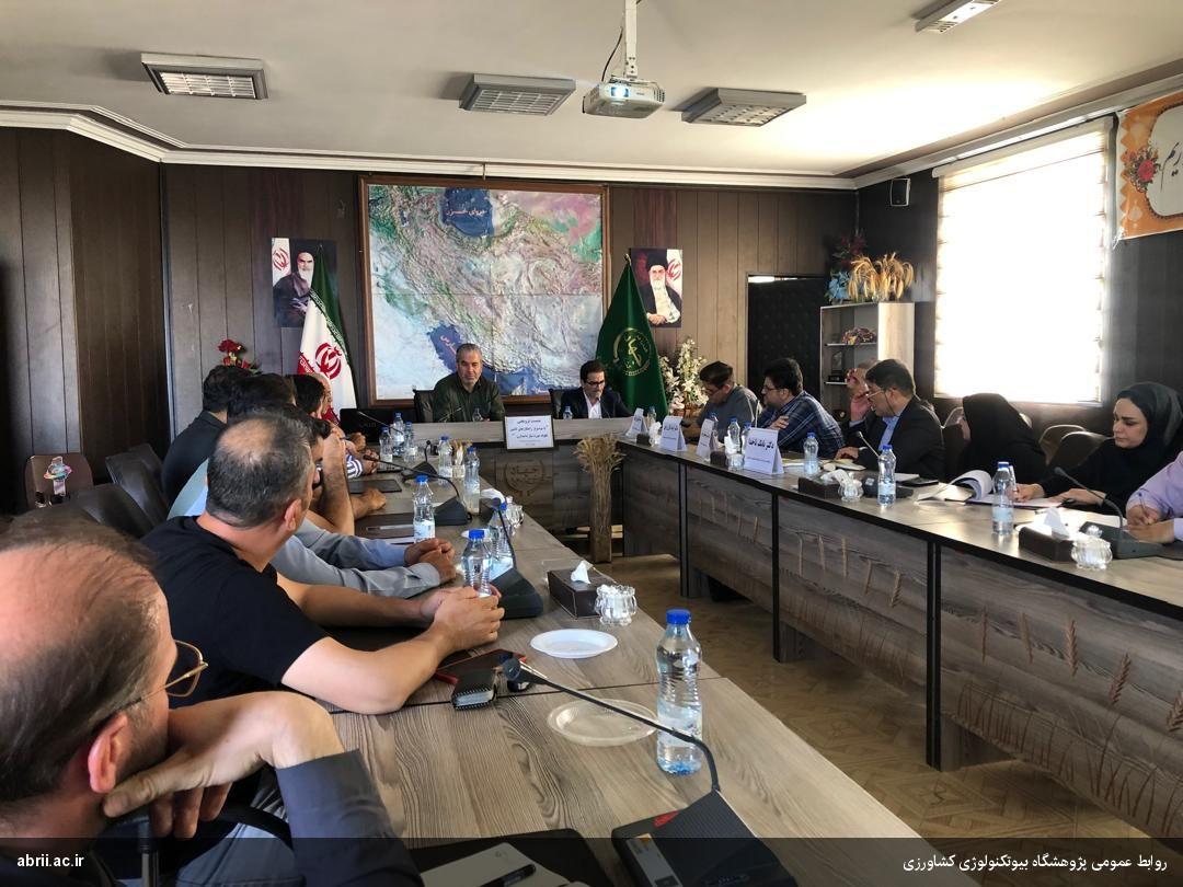 نشست مشترک جهاد کشاورزی البرز و نظرآباد با کشاورزان، دامداران و کارشناسان برای تأمین علوفه و خوراک دام استان برگزار شد-img