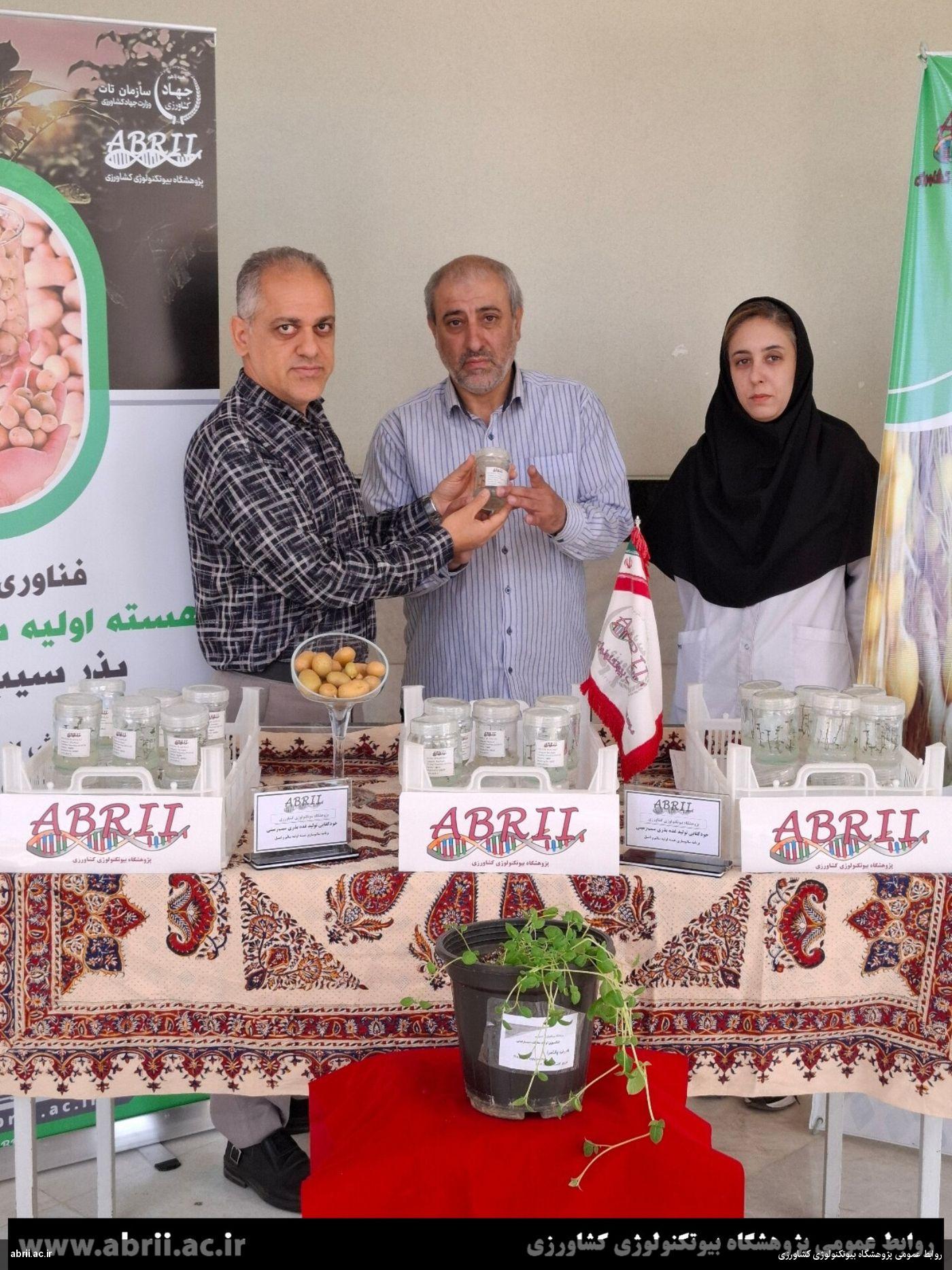 توزیع نخستین گیاهچه‌های سیب‌زمینی عاری از ویروس در سال جاری-img