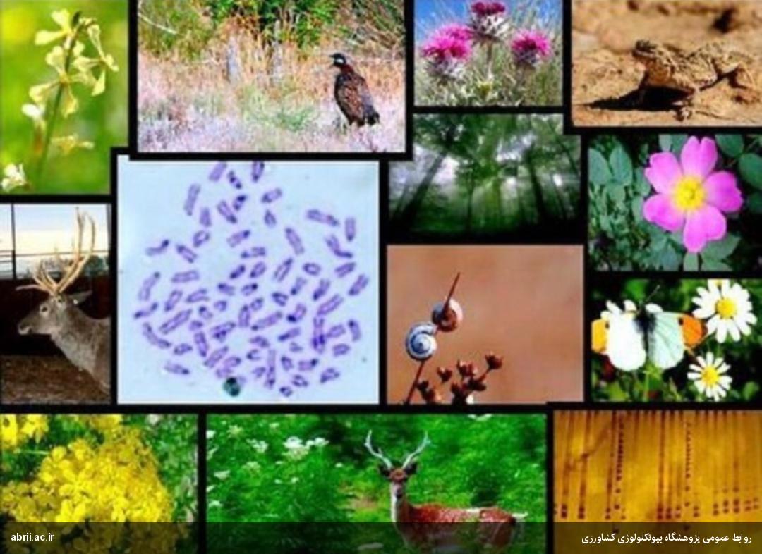 همصدایی جامعه علمی و تحقیقاتی کشور در مخالفت با جابه‌جایی مرجعیت کنوانسیون تنوع زیستی-img